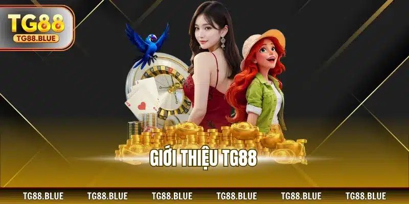 Giới thiệu TG88